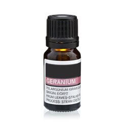 Geranium Pure Essential Oil | 100% Natural Aromatherapy Oil