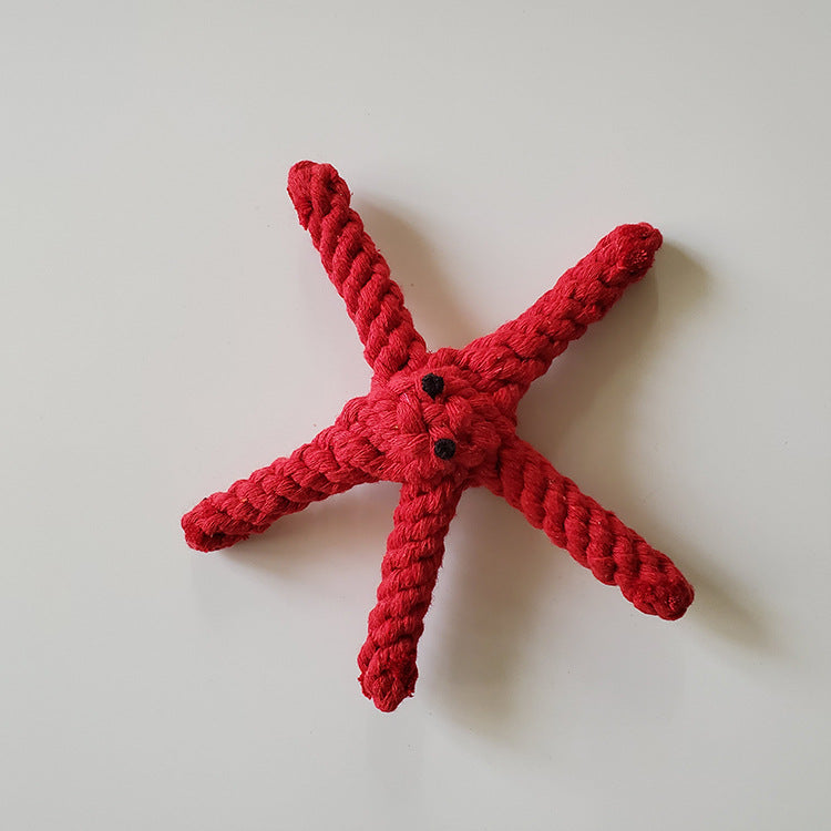 Pet molar toy