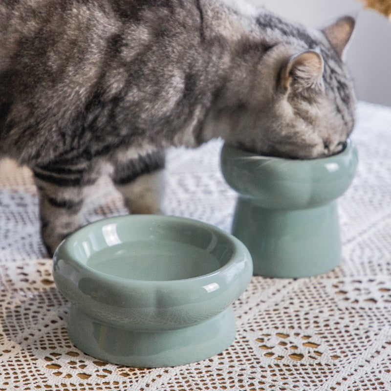 Ceramic cat bowl protects cervical spine high feet
