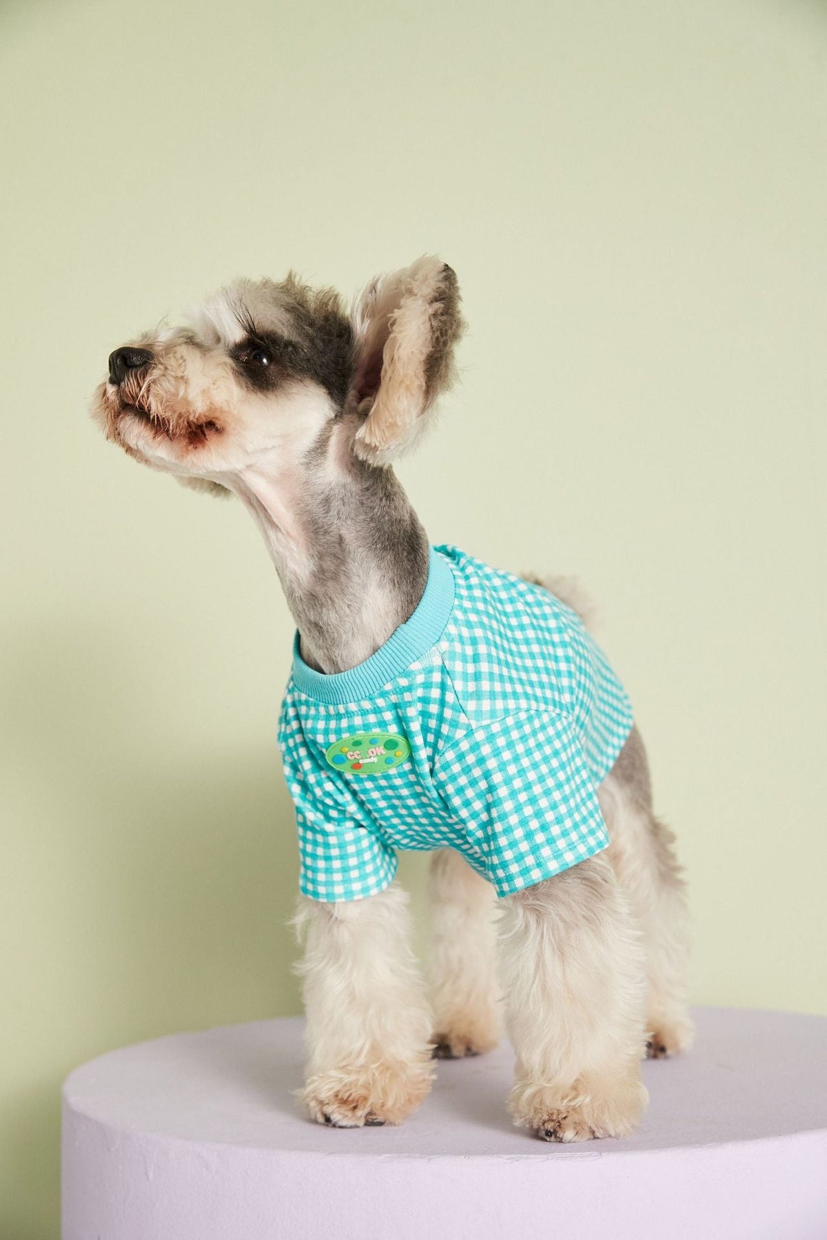 Summer Thin Candy Color Plaid T-Shirt Teddy