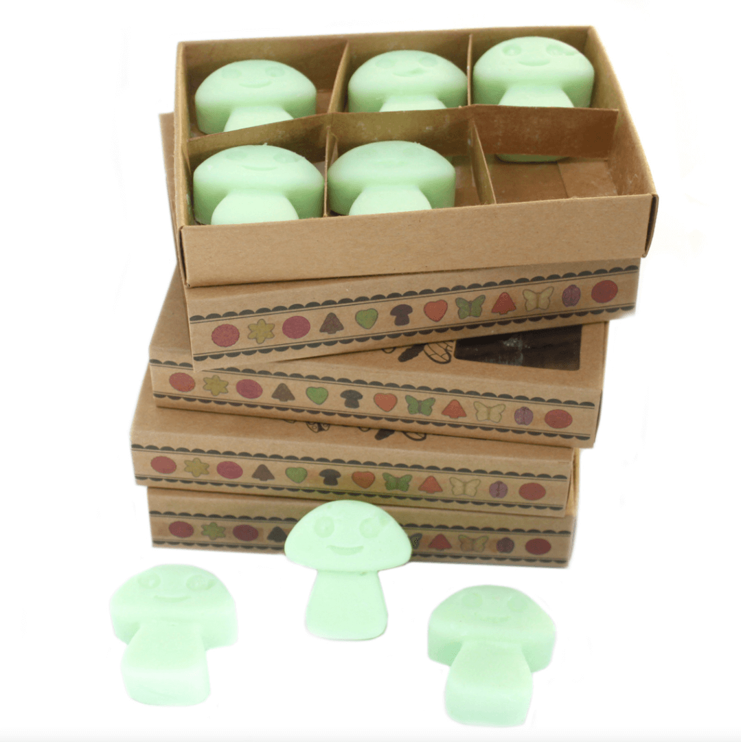 Liquorice Box of 6 Wax Melts