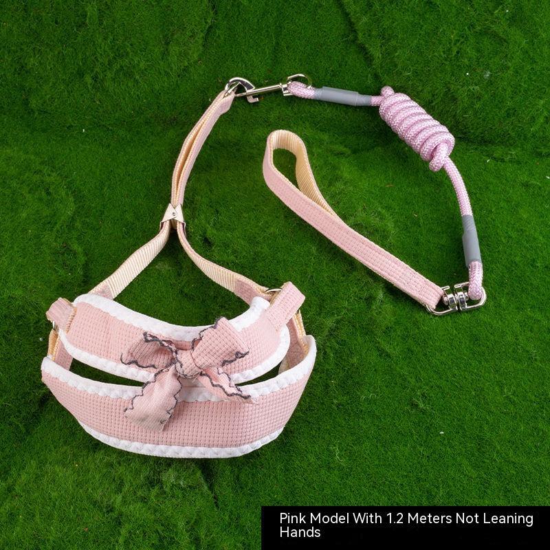 Dog Hand Holding Rope Vest Chest And Back