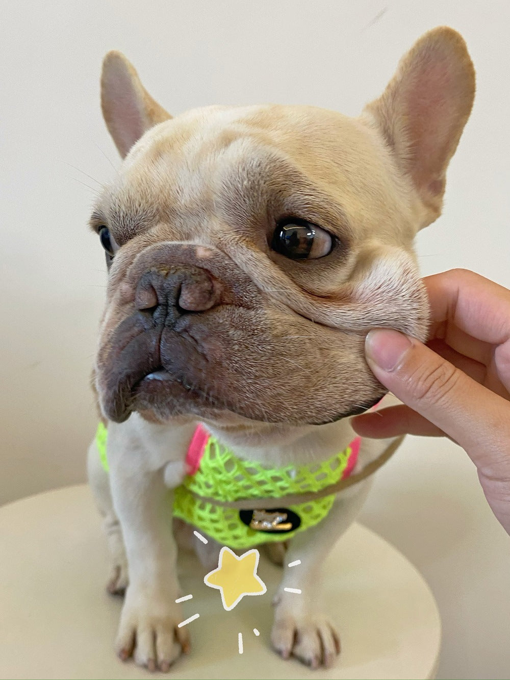 Pet Dog Clothes Summer Thin Breathable Sun Protection Vest