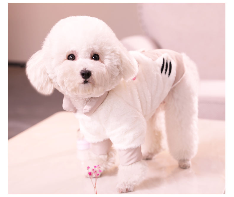 Pomeranian Bichon Teddy Clothes