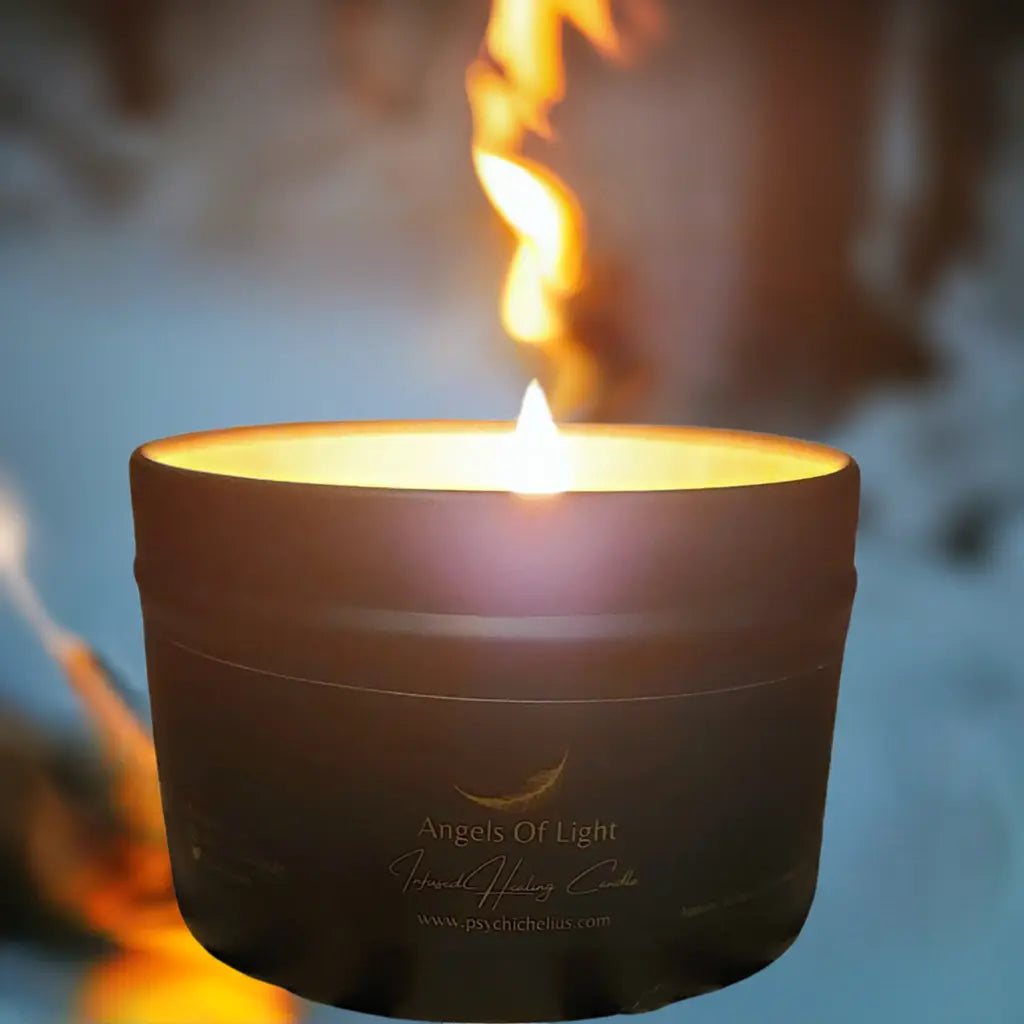 Cedarwood Soy Scented Wax Candle