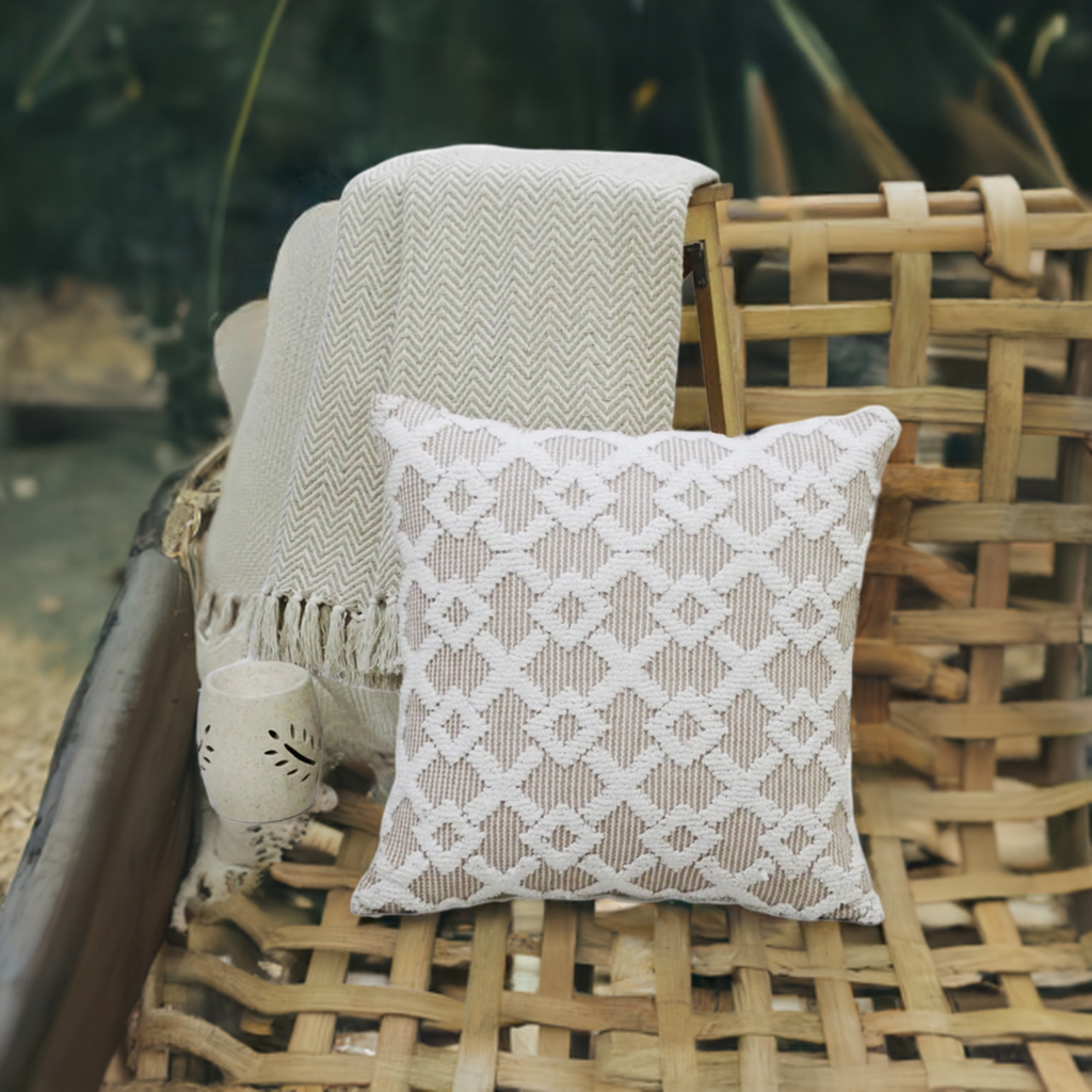 Decorative Accent Throw Pillow  20"x20"