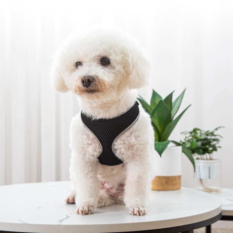 Pet Dog Walking Leash Vest-style Harness