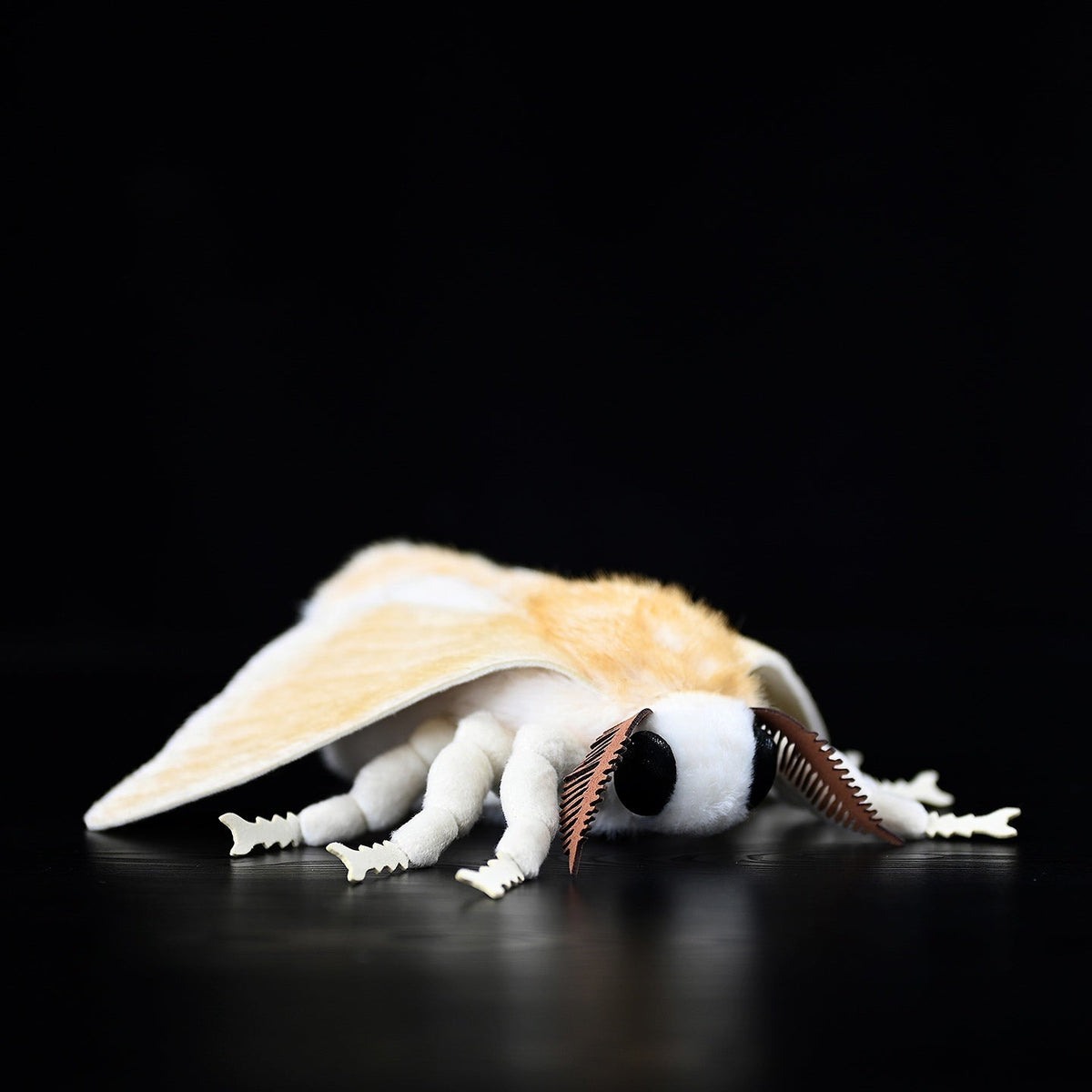 Insect Series Silkworm Moth Plush Toy Doll