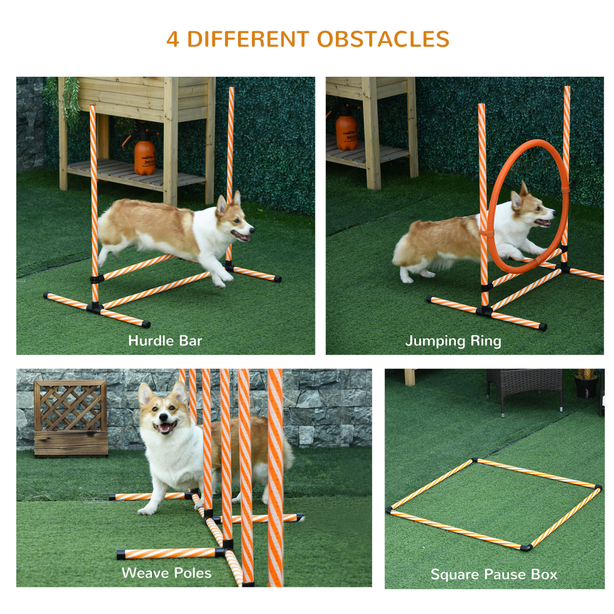 Pet Agility Training Equipment Dog Play Run Jump Hurdle Obedience Training Set