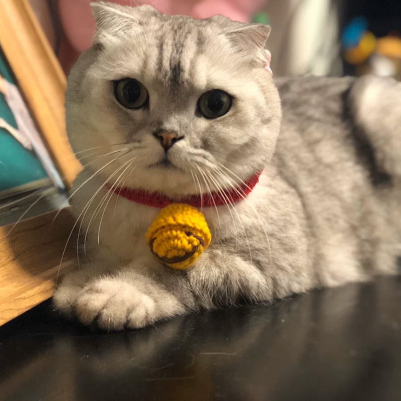 Cat British Short Wool Cute Collar