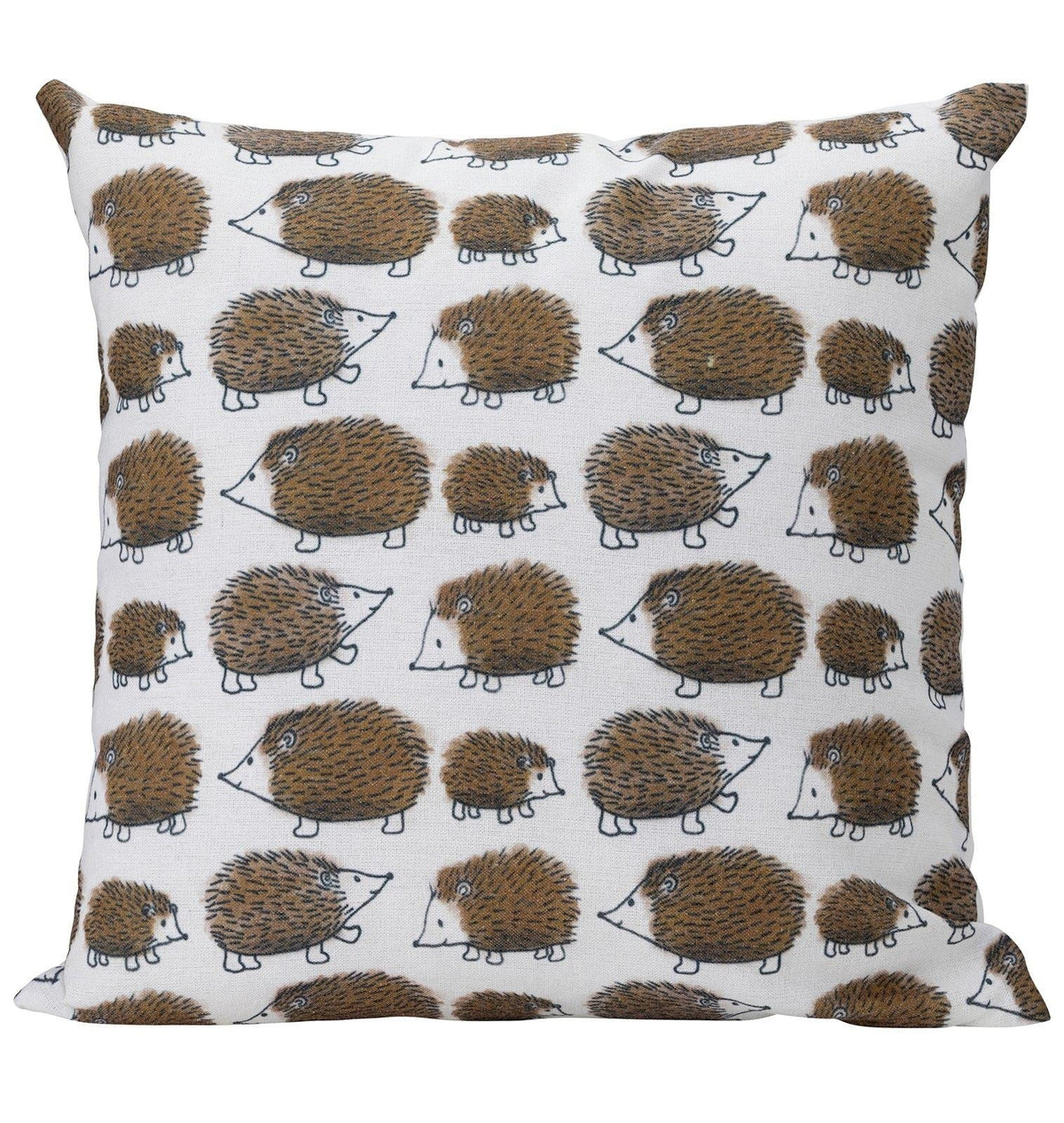 Edale Hedgehog Cushion