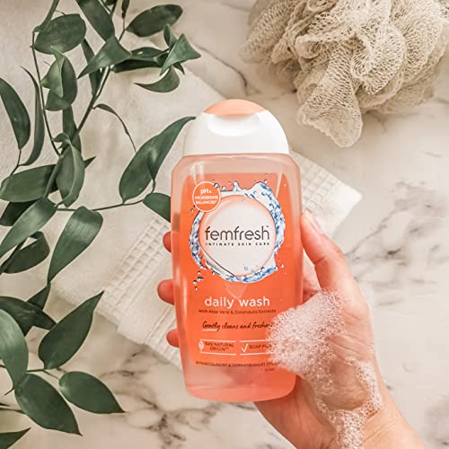 Femfresh Everyday Care Daily Intimate Vaginal Wash - Feminine Hygiene Shower & Bath Gel Cleanser - pH Balanced, Soap Free Gel Formula with Natural Aloe Vera & Calendula - 250 ml (Pack of 1)