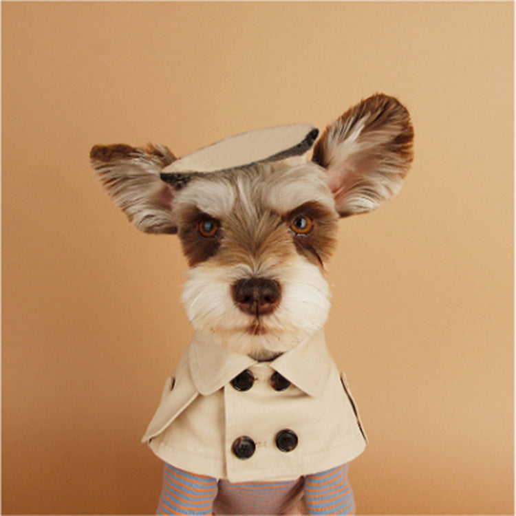 Dog collar beige British style pet