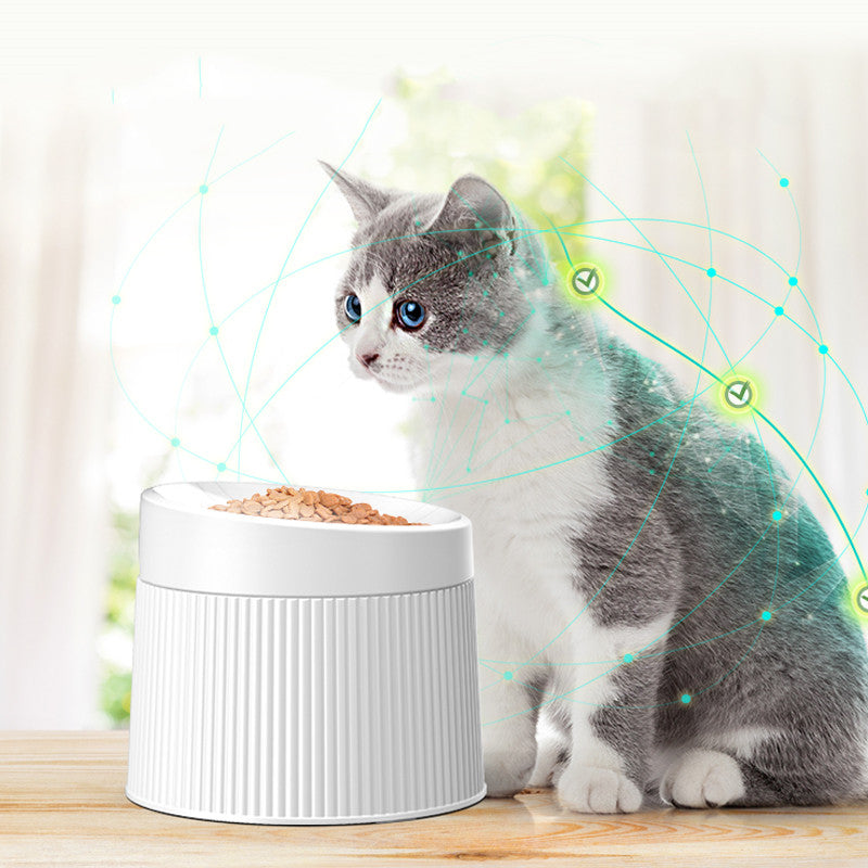 Geometric cat bowl double bowl