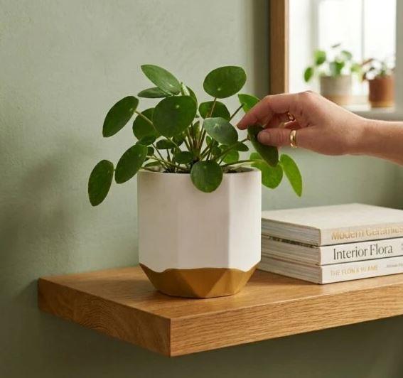 Small Ceramic Planter - White & Gold | M&W