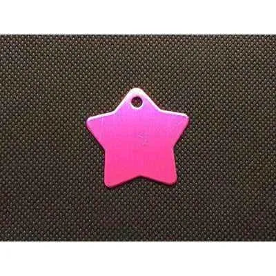 Engraved Pet Name Tag