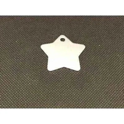 Engraved Pet Name Tag