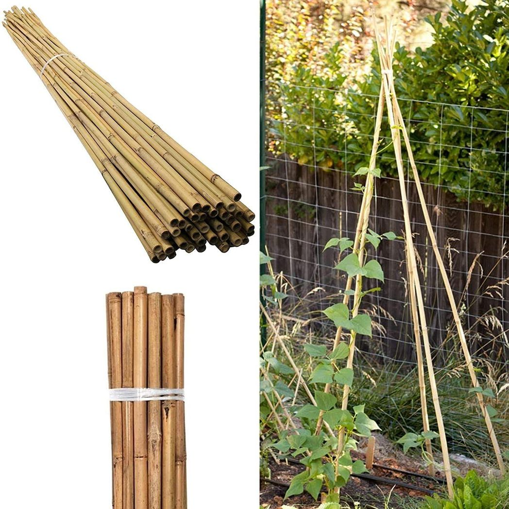 10 x 5FT Bamboo Canes 150 CM