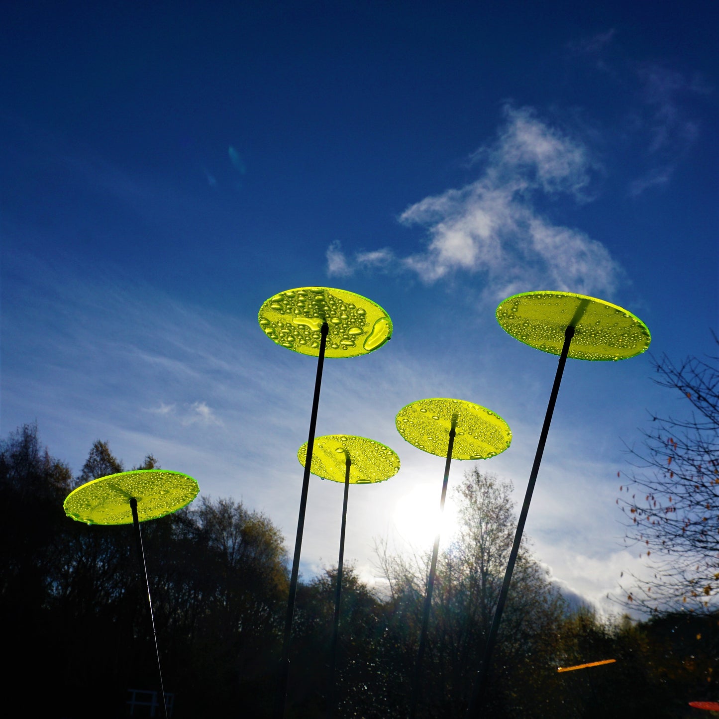 SunCatcher Sun Disc Garden Stakes – Set of 5 | Large Fluorescent Acrylic Garden Ornaments