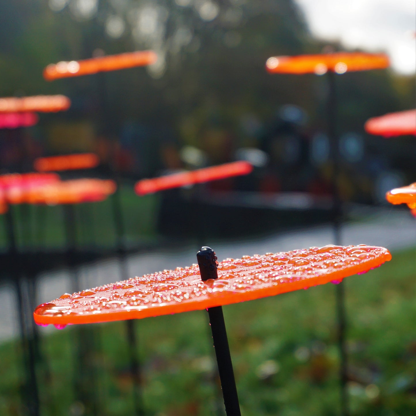 SunCatcher Sun Disc Garden Stakes – Set of 5 | Large Fluorescent Acrylic Garden Ornaments