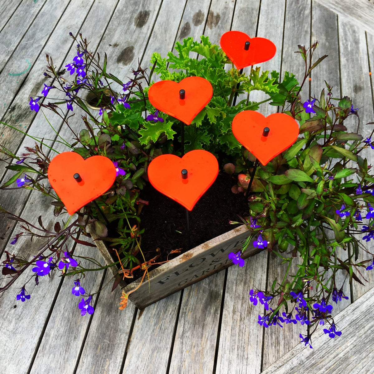 Small Garden Décor Ornaments Set of 5 'Hearts'