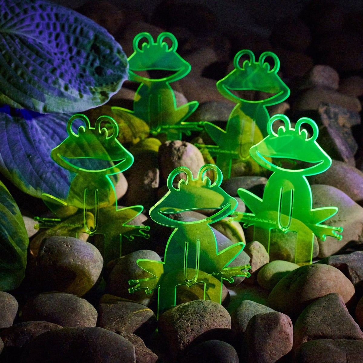 Garden Décor Ornament Stakes Set of 5 'Happy Frogs'