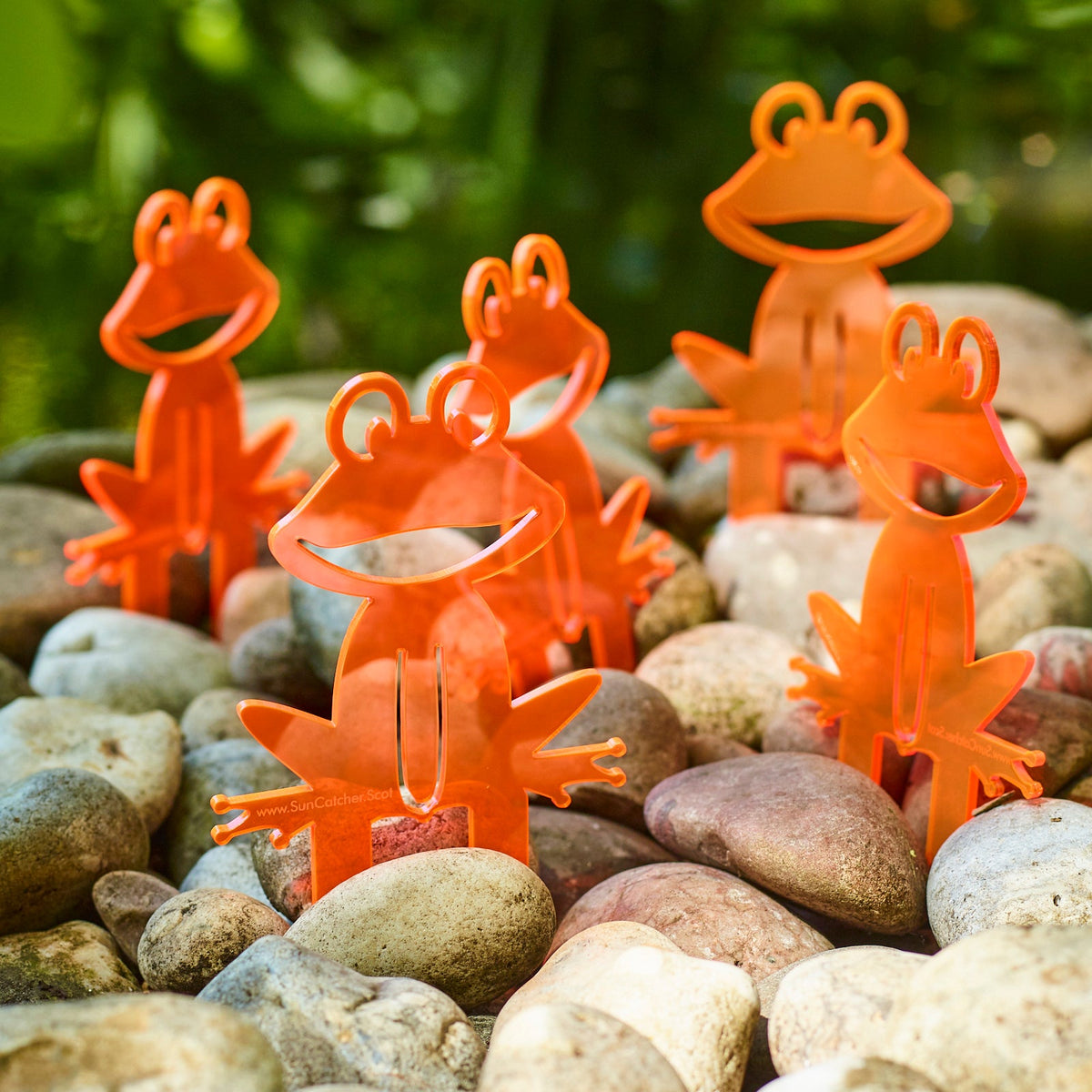 Garden Décor Ornament Stakes Set of 5 'Happy Frogs'