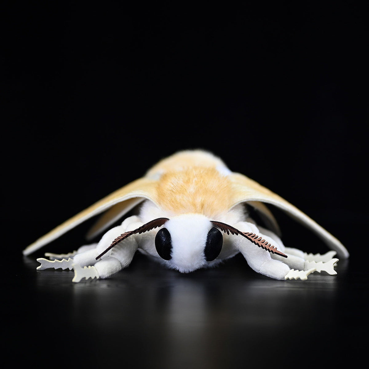Insect Series Silkworm Moth Plush Toy Doll