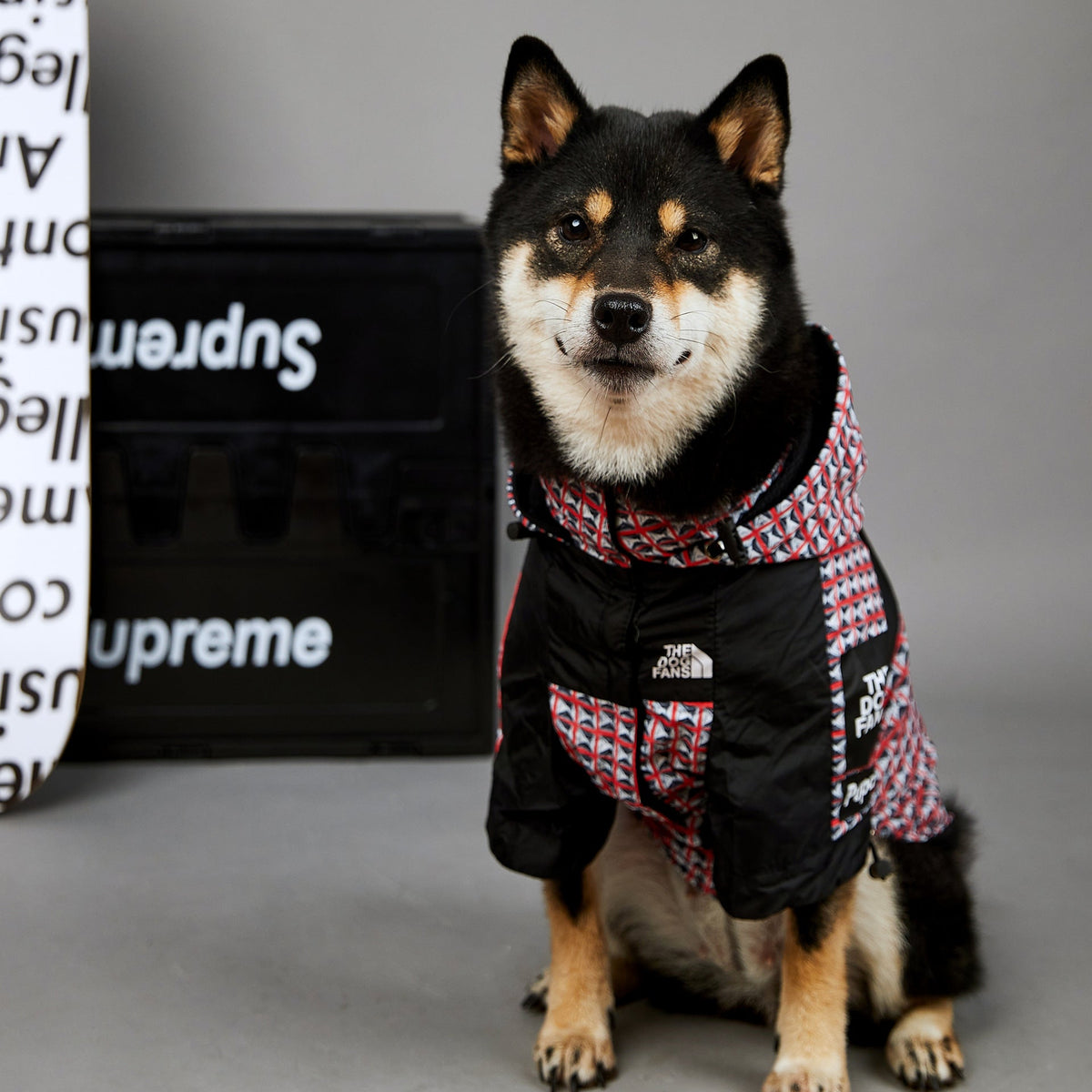 Fashion Brand Windproof And Rainproof New Dog Raincoat Shell Jacket