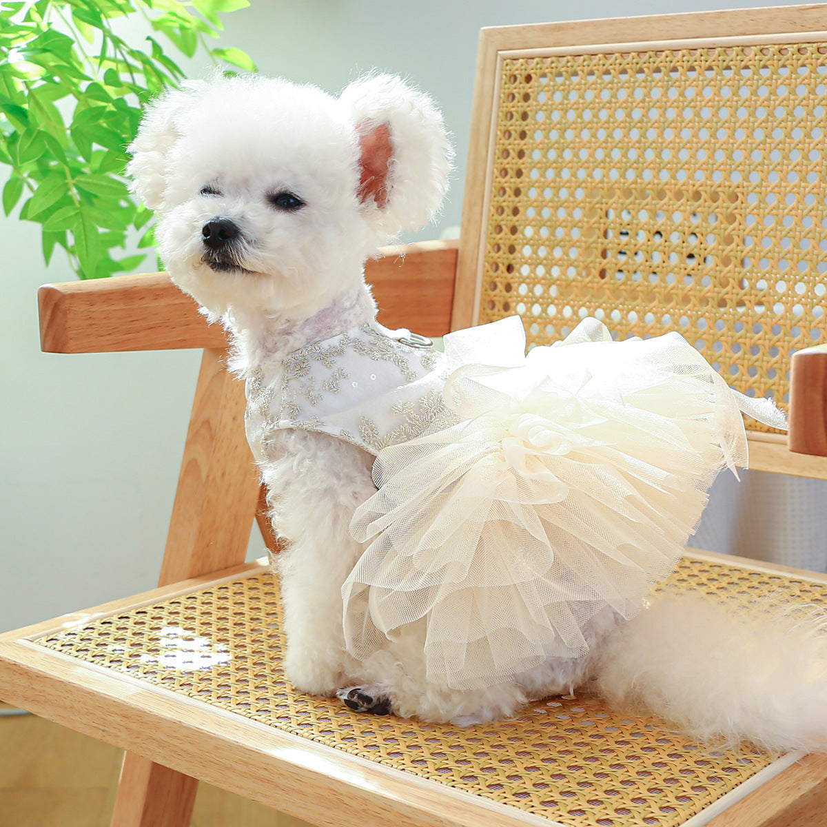 Spring And Summer Thin Dog Cat Wedding Dress