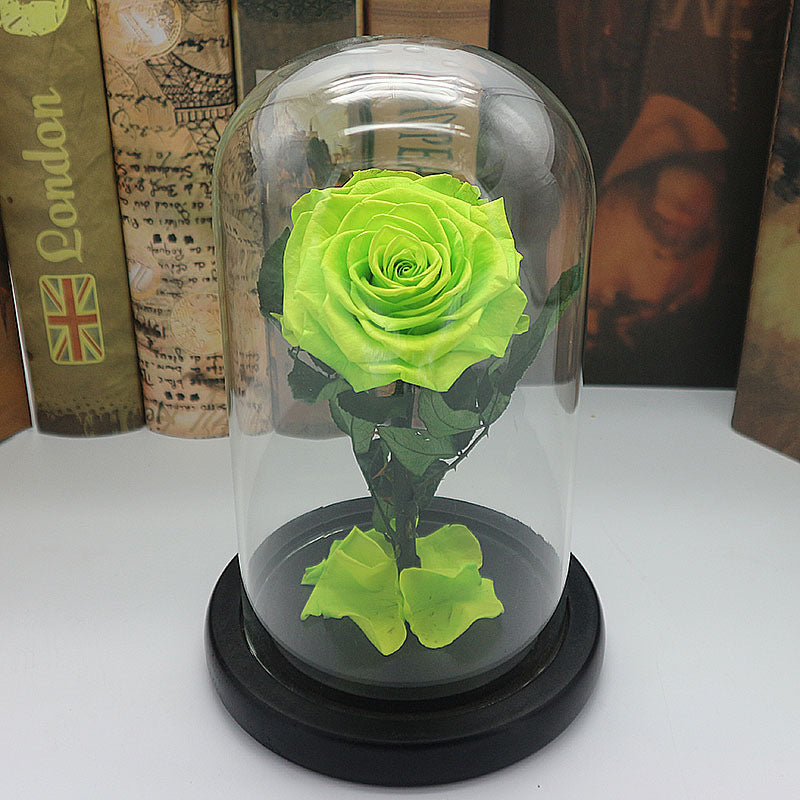 Glass Cover Tanabata Valentine's Day Immortal Rose Gift