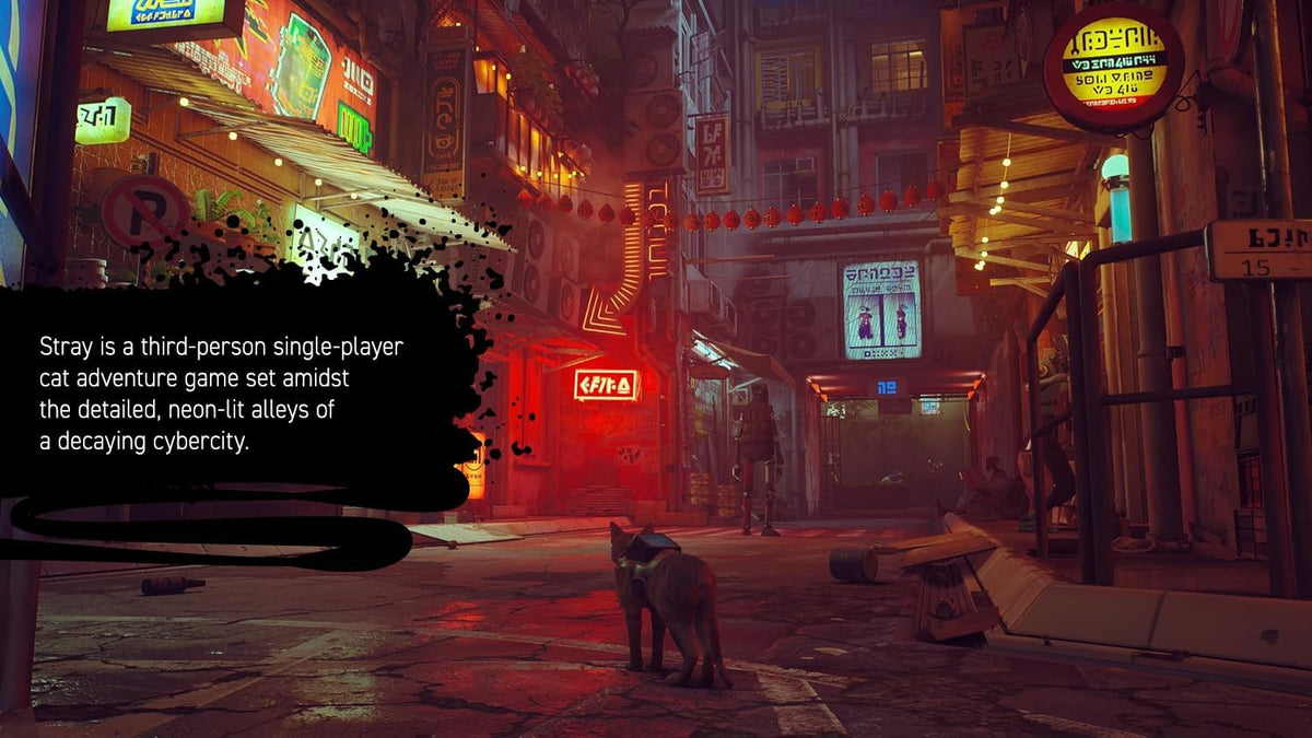 Stray (Nintendo Switch)