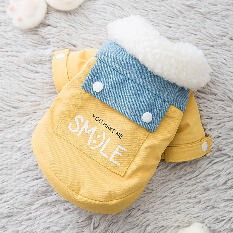 Teddy puppy autumn and winter clothes