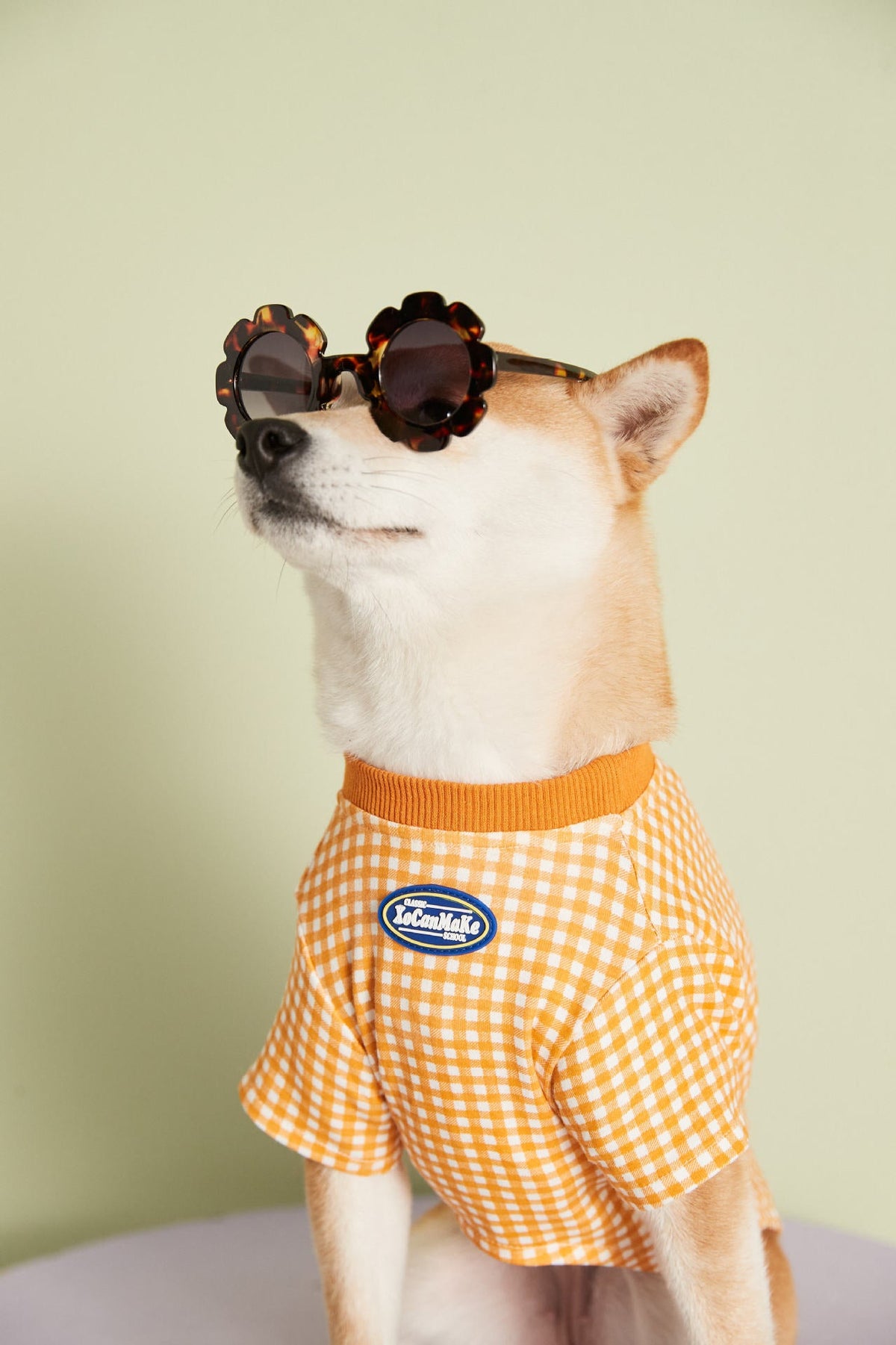 Summer Thin Candy Color Plaid T-Shirt Teddy