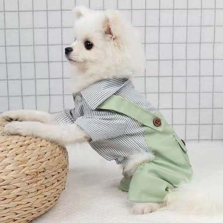 Spring And Autumn Thin Pet Puppy Cat Clothes
