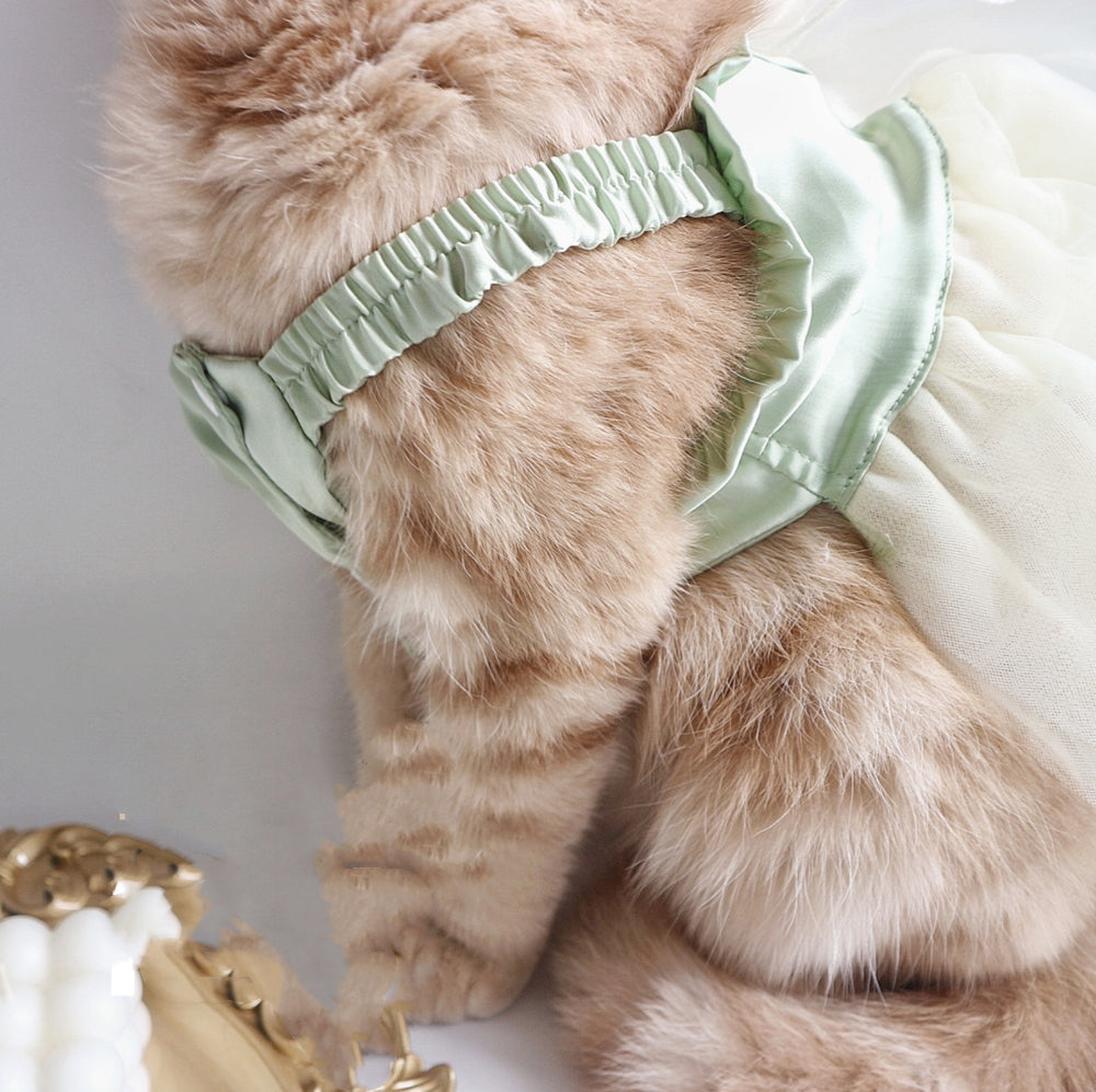 Tow Clothes Dog Cat Go Out Tow Rope Bow