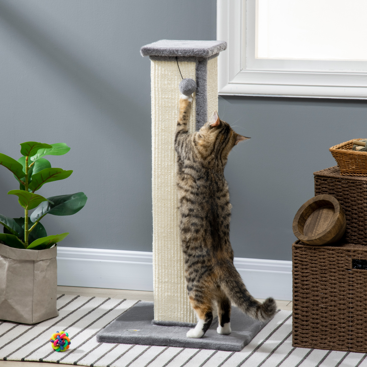 Cat Scratching Post 81cm Cat Scratcher w/ Natural Sisal Rope Hanging Ball Grey