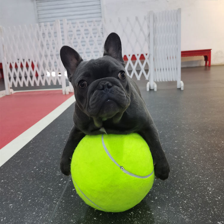 Tennis Pet Toy Inflatable Training Rubber Big Ball Elastic Ten Times Happy Corgi Golden Retriever