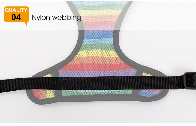 Rainbow chest strap