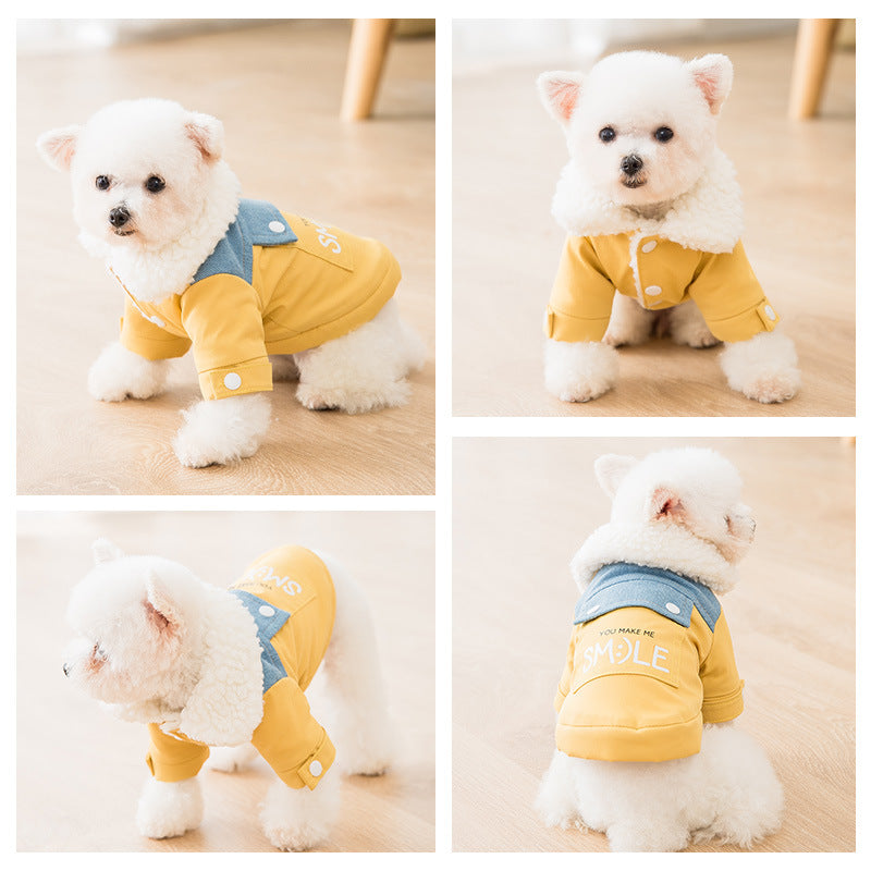 Teddy puppy autumn and winter clothes