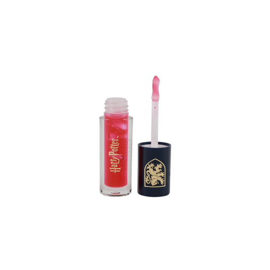 Harry Potter Hogwarts House Lip Gloss Duo Set