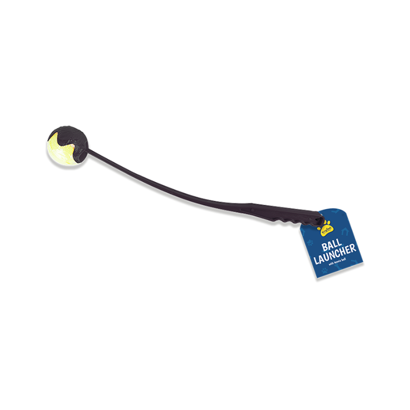Pet Ball Thrower & Ball Set