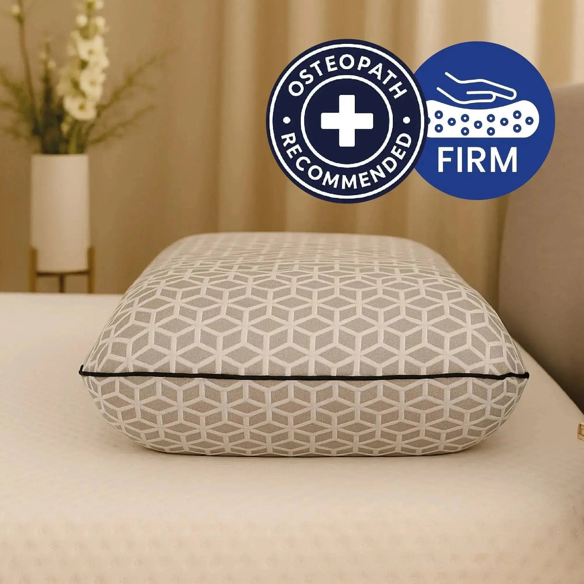 Brightr® Eclipse pillow Refurbished