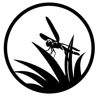 Little Dragonfly Garden Mirror