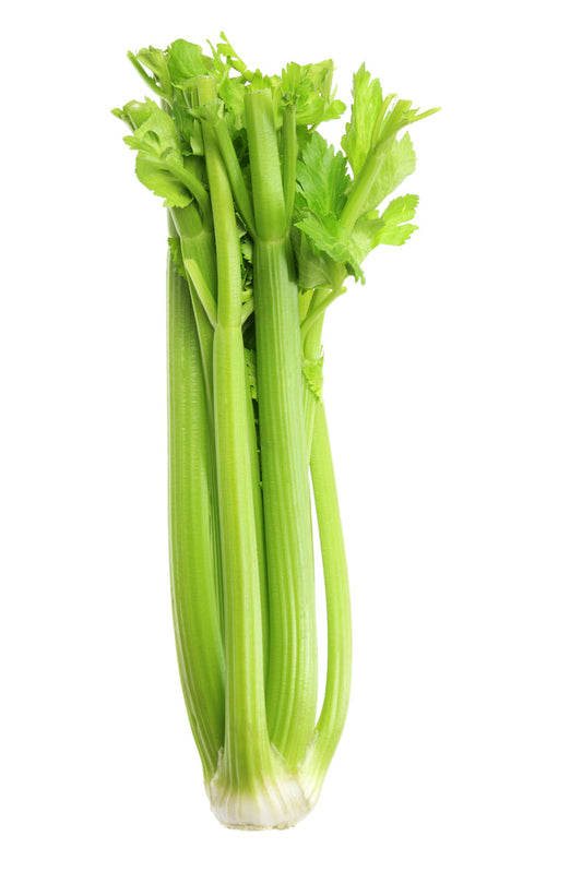 Fresh Celery | Crisp Green Celery Stalks