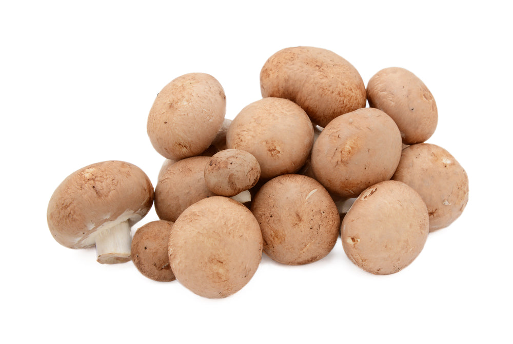 Kastanienbraune Pilze (300g)