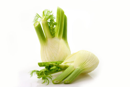 Fresh Fennel – Sold Individually