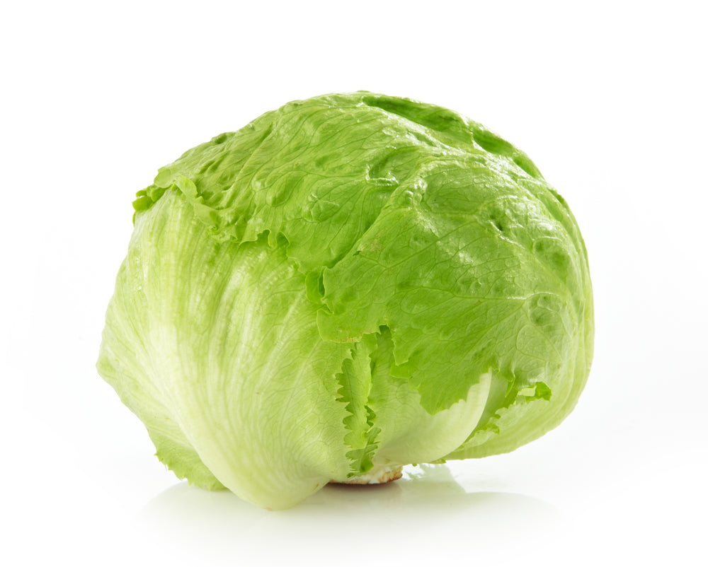Eisbergsalat | Frisches knackiges Salatgemüse
