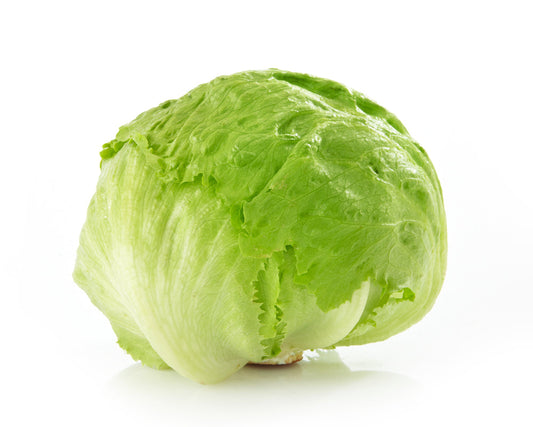 Iceberg Lettuce | Fresh Crisp Salad Vegetable