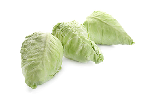 Fresh Hispi Cabbage - Sweet & Tender Pointed Cabbage
